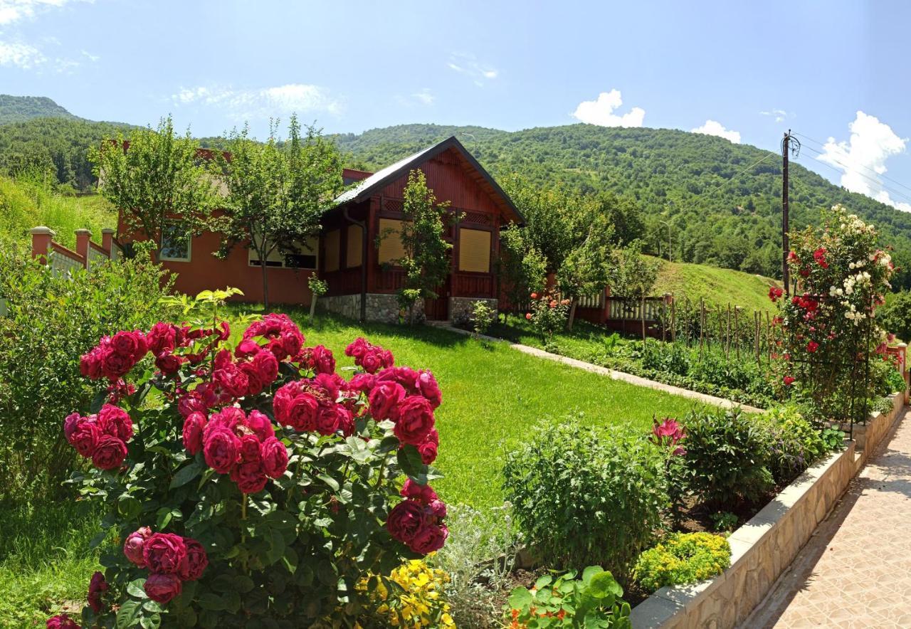 Apartment Lakeview Plužine Dış mekan fotoğraf